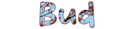 Bud