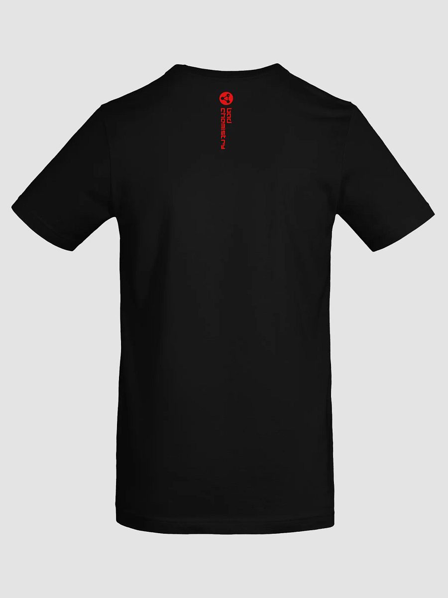Bad Chemistry: "Hell" T-Shirt product image (24)