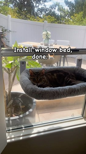Install window bed, done.🐈

#sagethecat #sagethetabbycat #hunterplussage #hunterandsage #hunterthebeagle