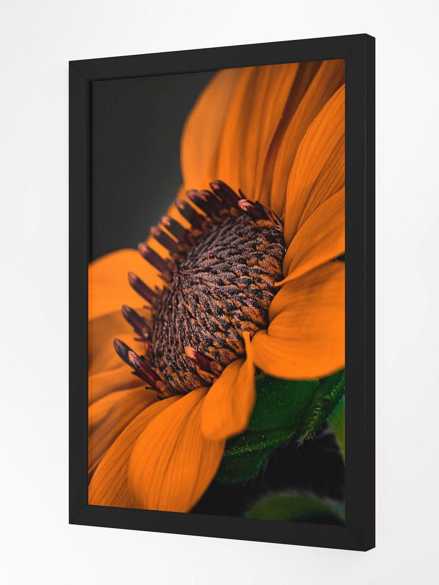 Orange You Glad Sunflower product image (2)