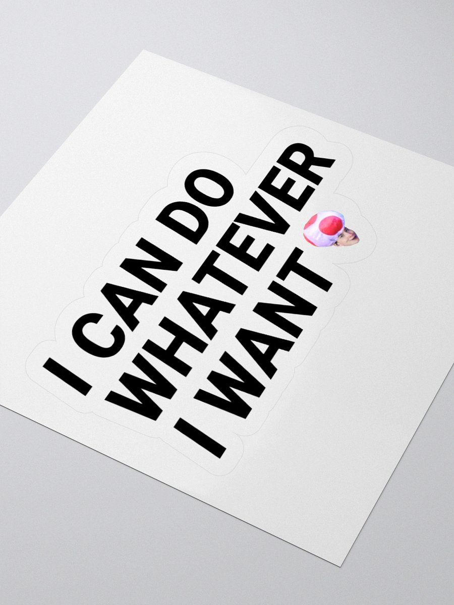 I CAN DO W.E I WANT STICKER product image (7)