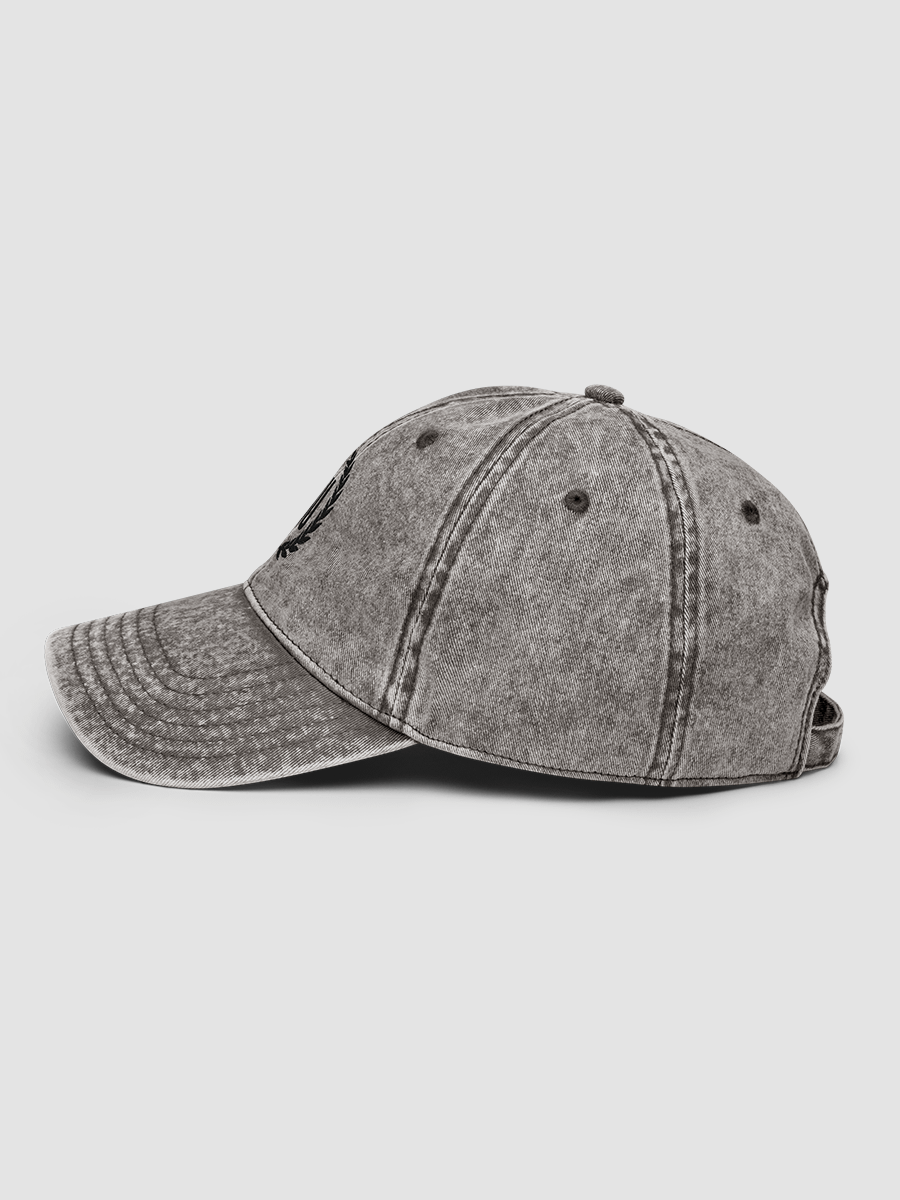 I.O.U™ Dad Hat product image (6)
