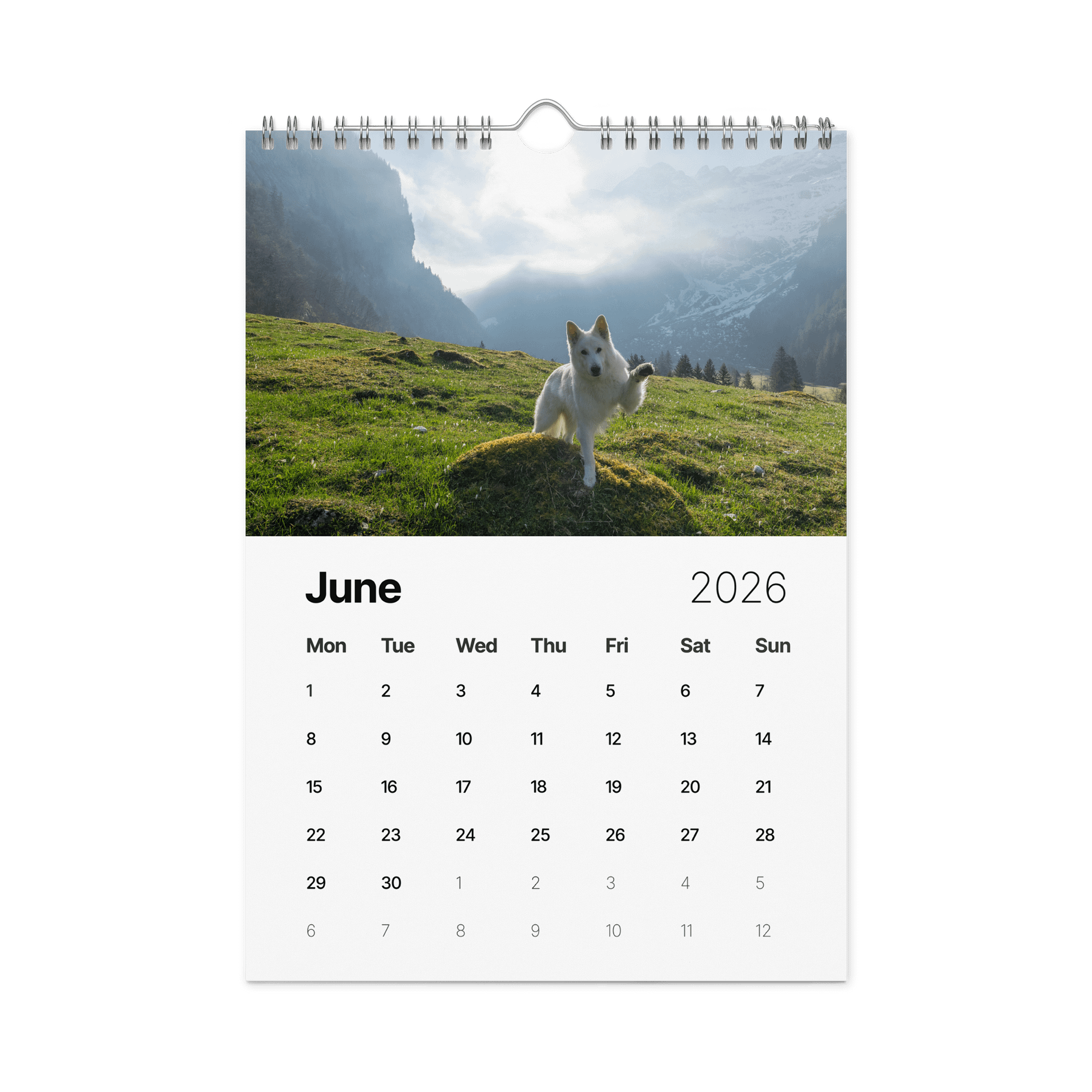 Rasta Calendar 2026 product image (7)