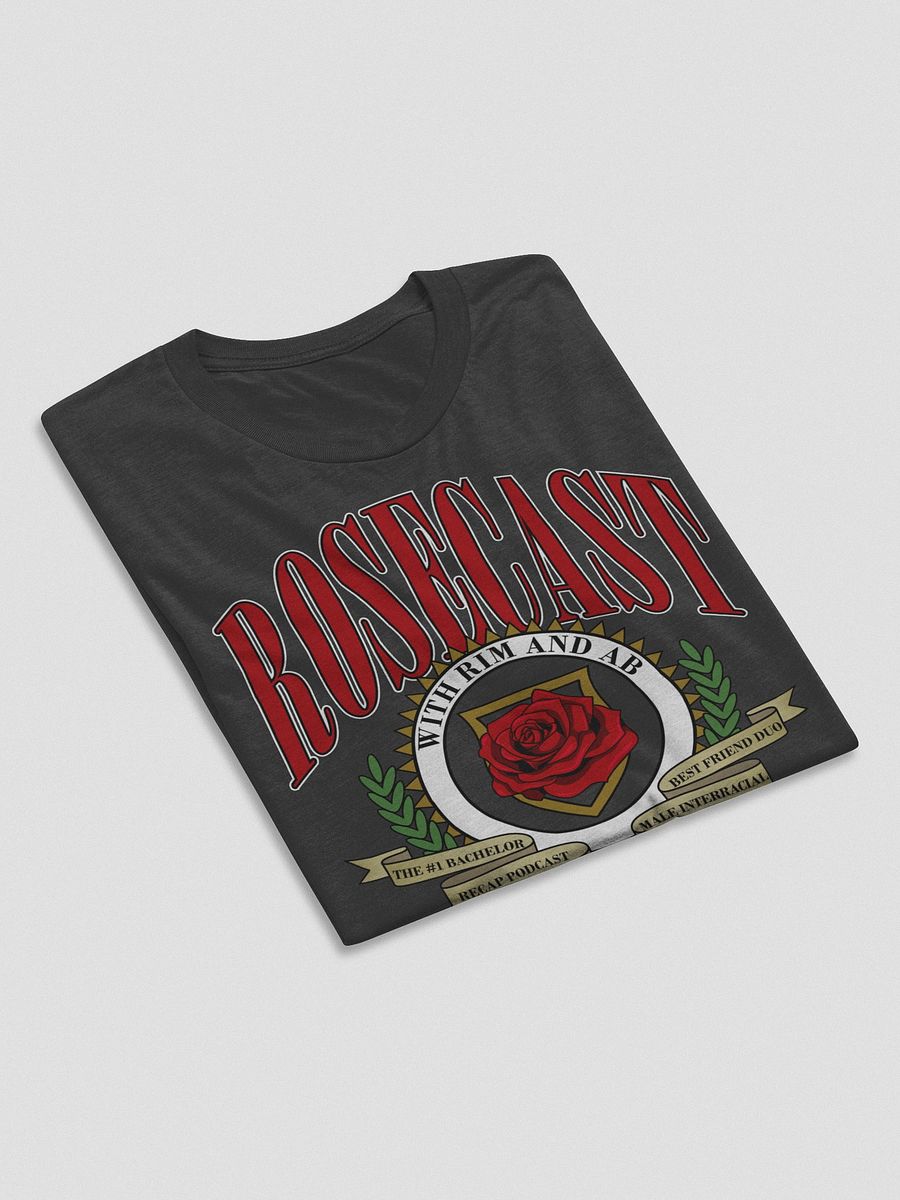 Vintage University T-Shirt (Triblend) product image (63)
