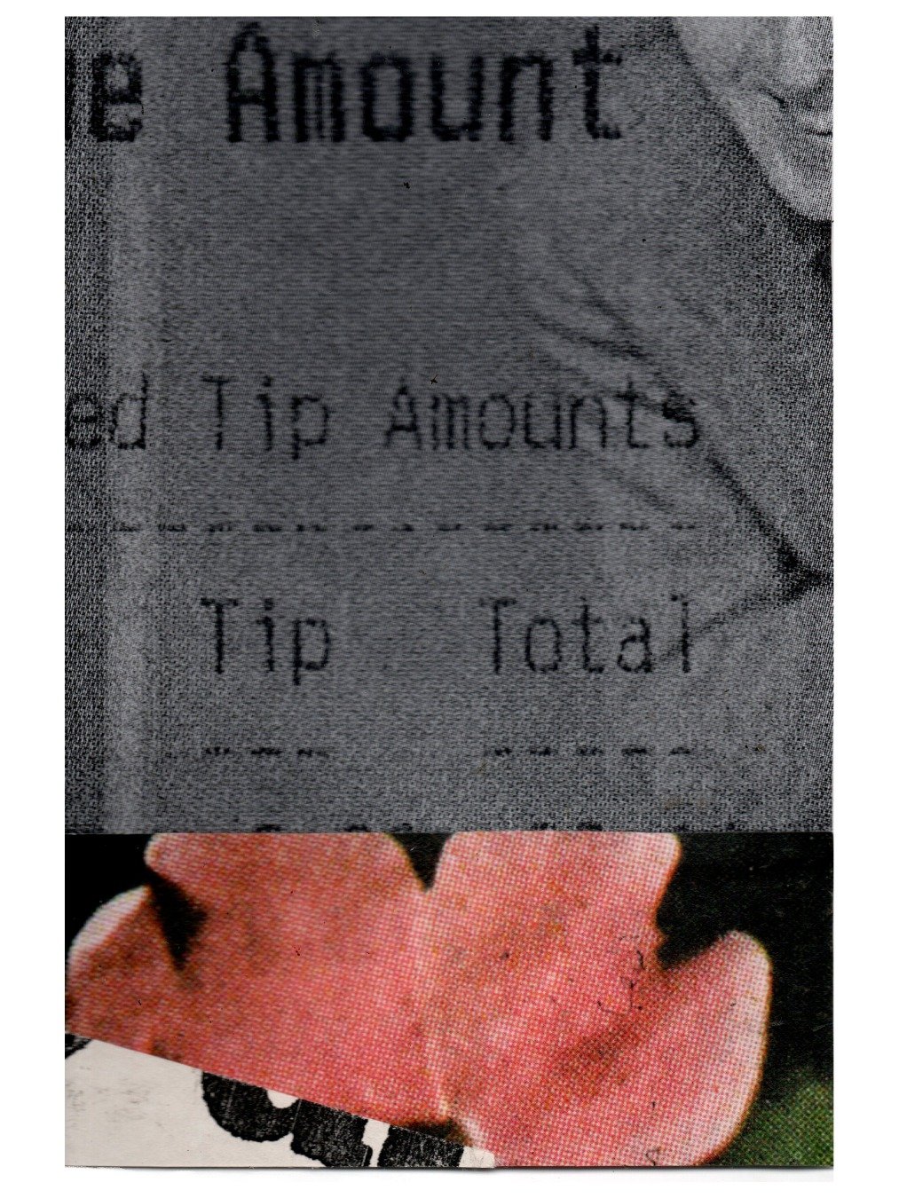 by reason of a contrasting background product image (1)