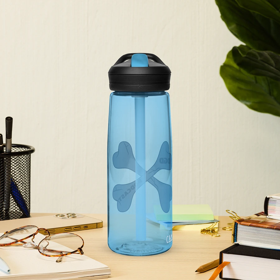 Crossbones CamelBak Water Bottle product image (72)