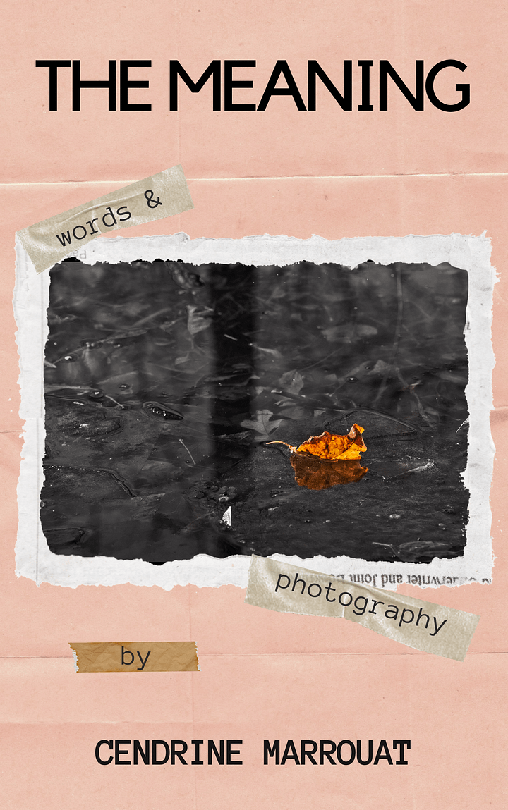 The Meaning product image (1)