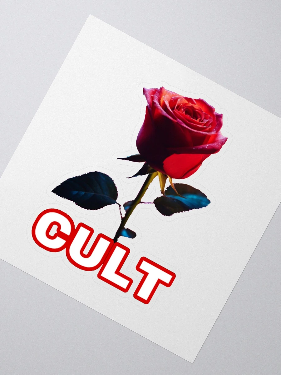 CULT ROSE product image (2)