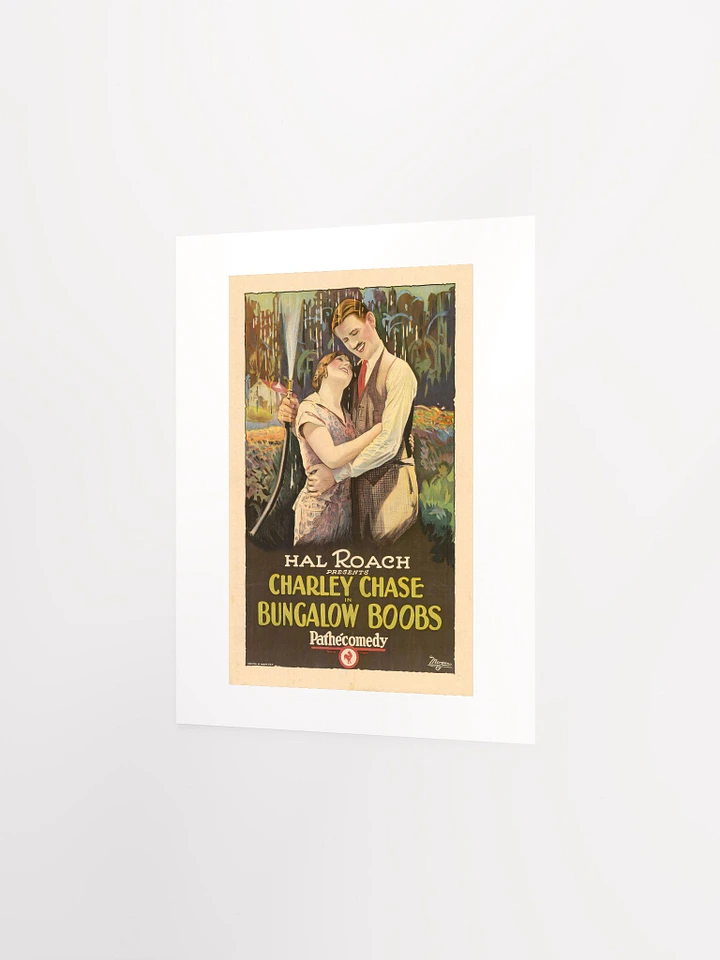 Bungalow Boobs (1924) Poster - Print product image (2)