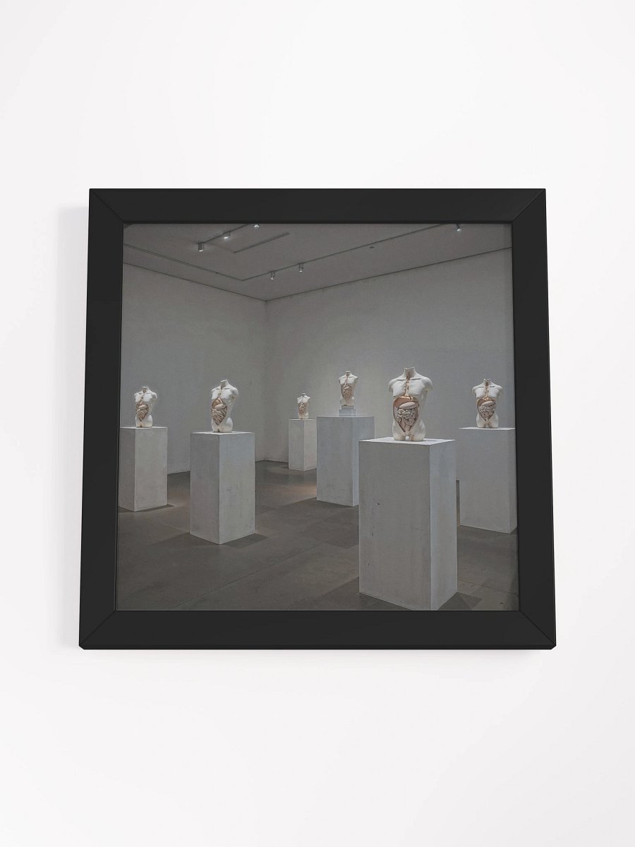 Anatomy of Silence Framed Print product image (19)