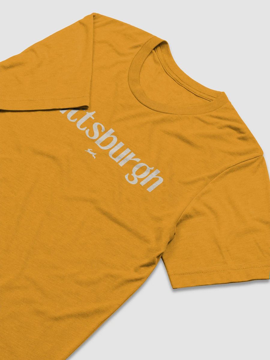 chfpar City / Pittsburgh Celebration Tee product image (3)