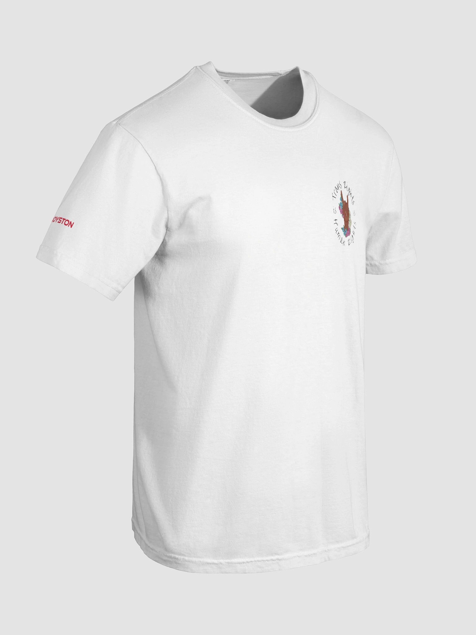 Trans Rights T-Shirt product image (8)