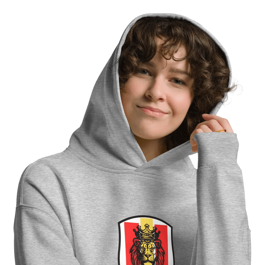 Sudadera con capucha gris - León Hispano product image (10)