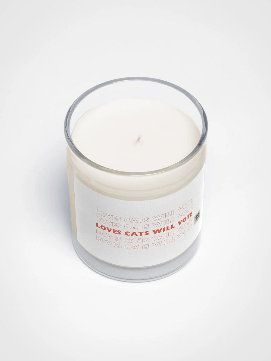Loves Cats Will Vote Soy Wax Candle product image (3)