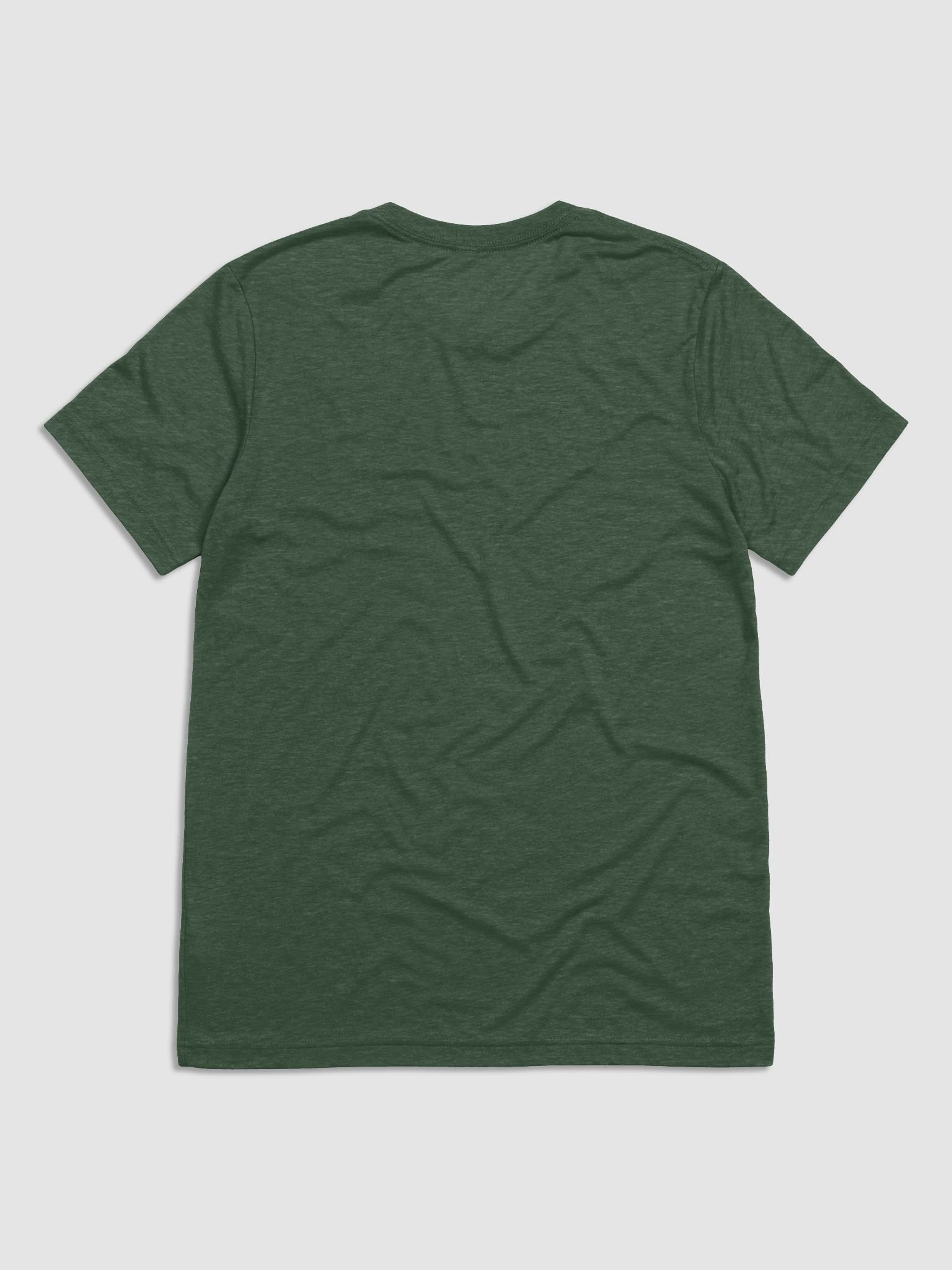 Dragon's Blaze Tri-Blend T-Shirt product image (5)