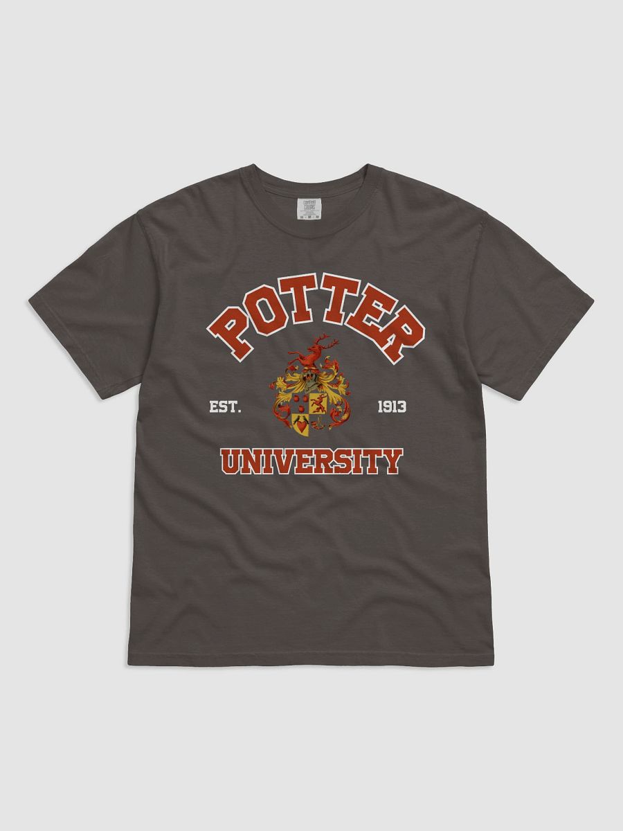Harry Vintage Magical Collegiate Shirt product image (1)