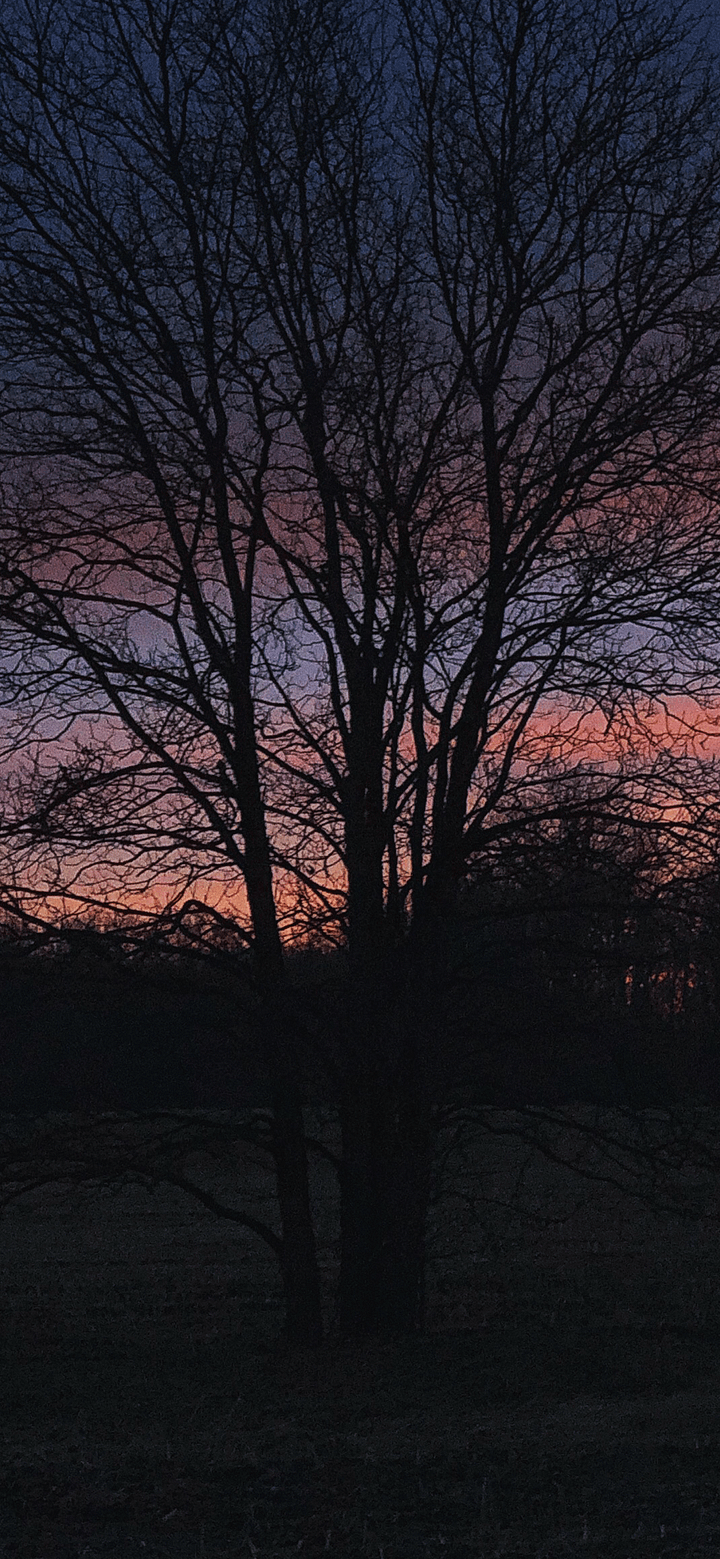 Dusk Phone Background product image (1)