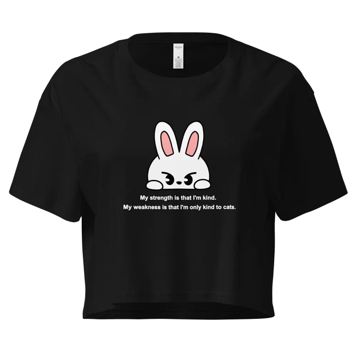 Lee Know Quote Crop Top product image (1)