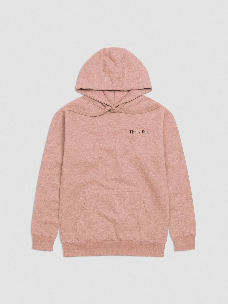 That's Fair Hoodie product image (5)