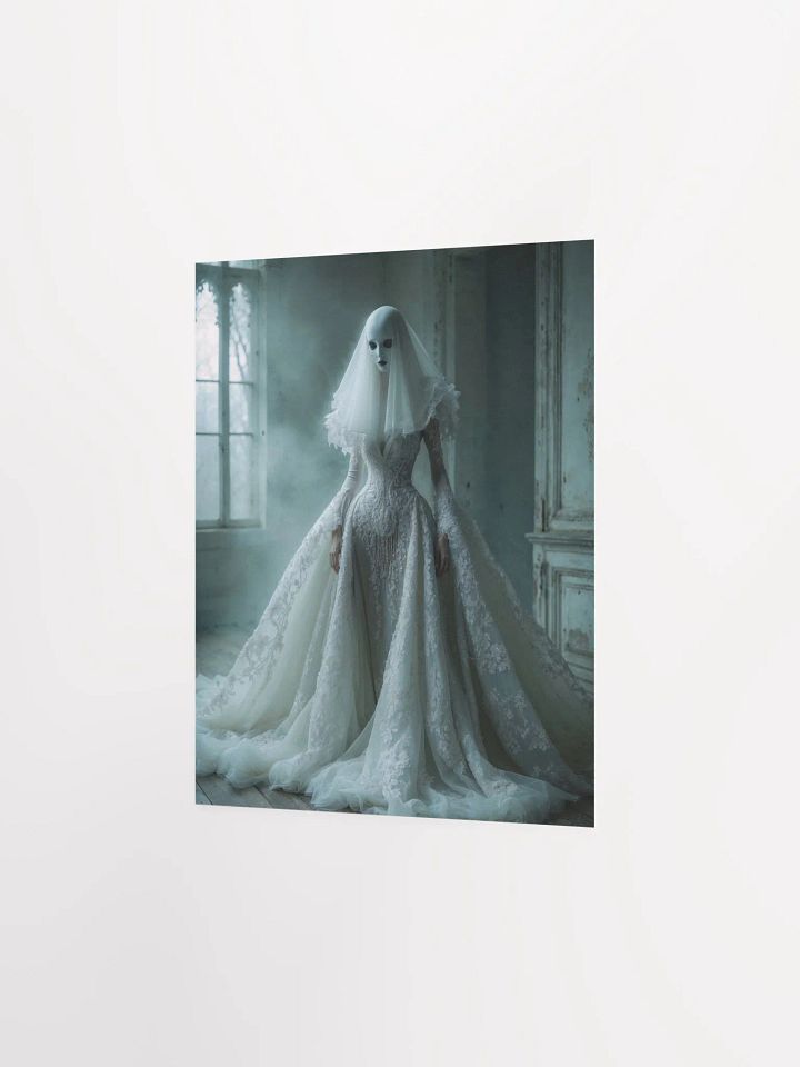 Veiled Mystery Poster product image (12)