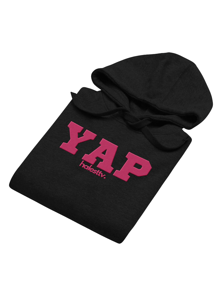 YAP embroidered hoodie product image (16)