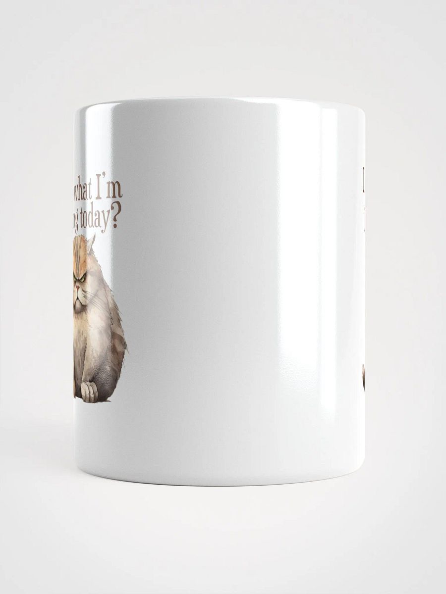 Cat Chat: "Guess what I'm wearing today? ... I'm wearing my Fuck Off face." White glossy mug product image (6)