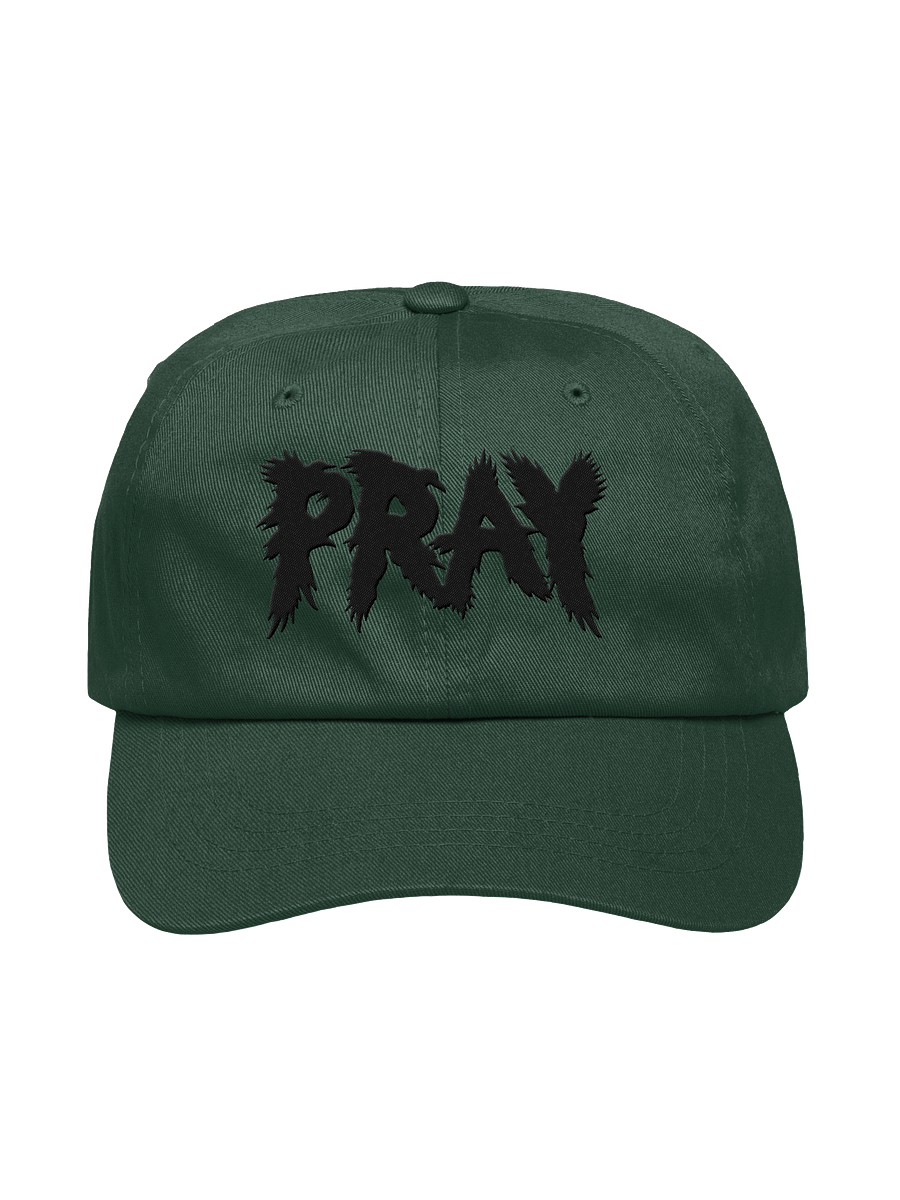 Birds Of Pray Relaxed Hat product image (1)