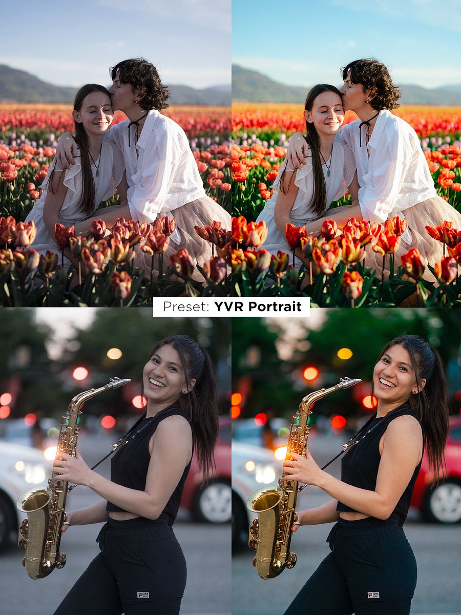 Ultimate Preset Bundle product image (7)
