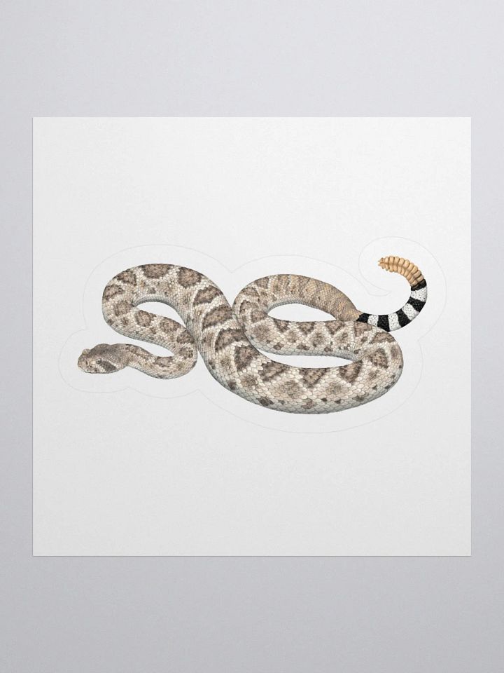 Die Cut Sticker – Western Diamondback Rattlesnake product image (1)