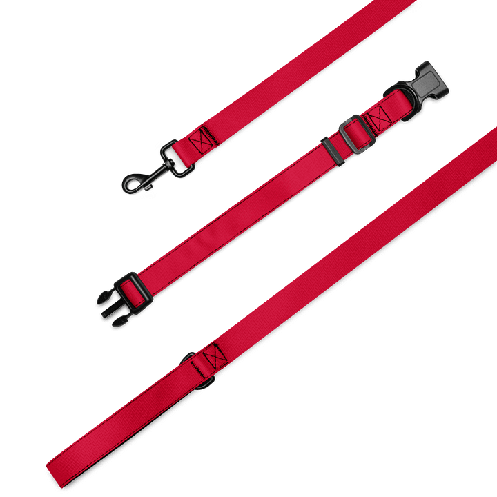 Lucky Dog Vibrant Red Pet Collar & Leash Set 01 product image (2)