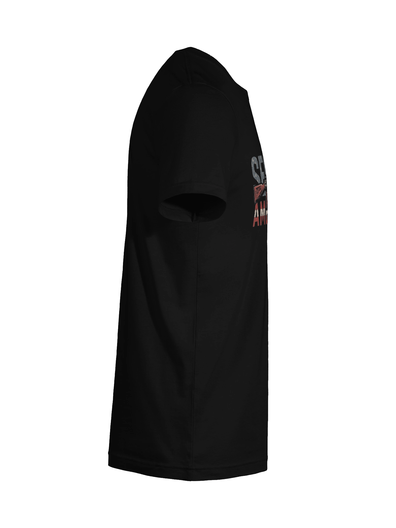 Right to Bear Arms' T-Shirt product image (12)