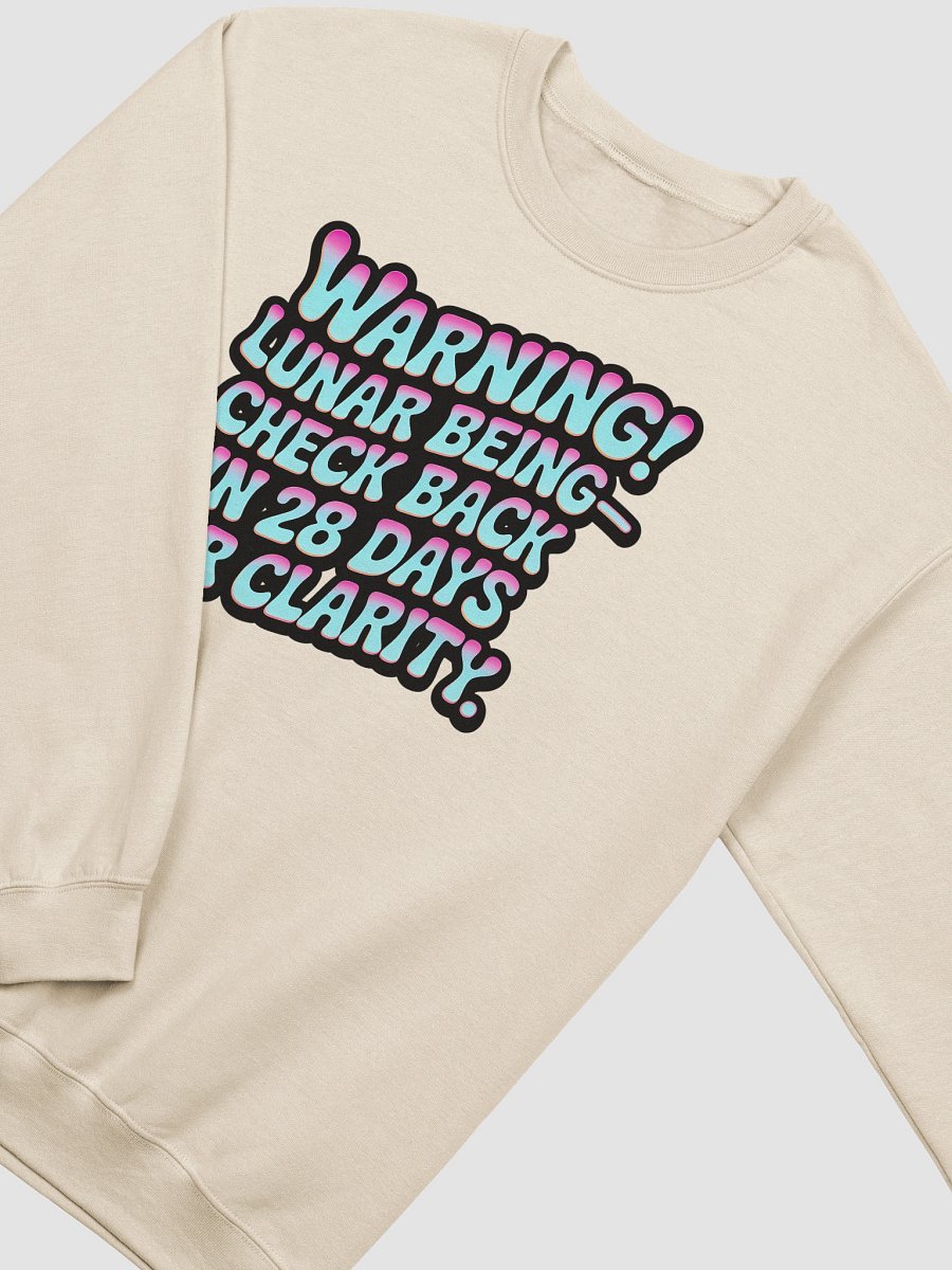Retro Lunar Being Reflector Sweatshirt product image (3)