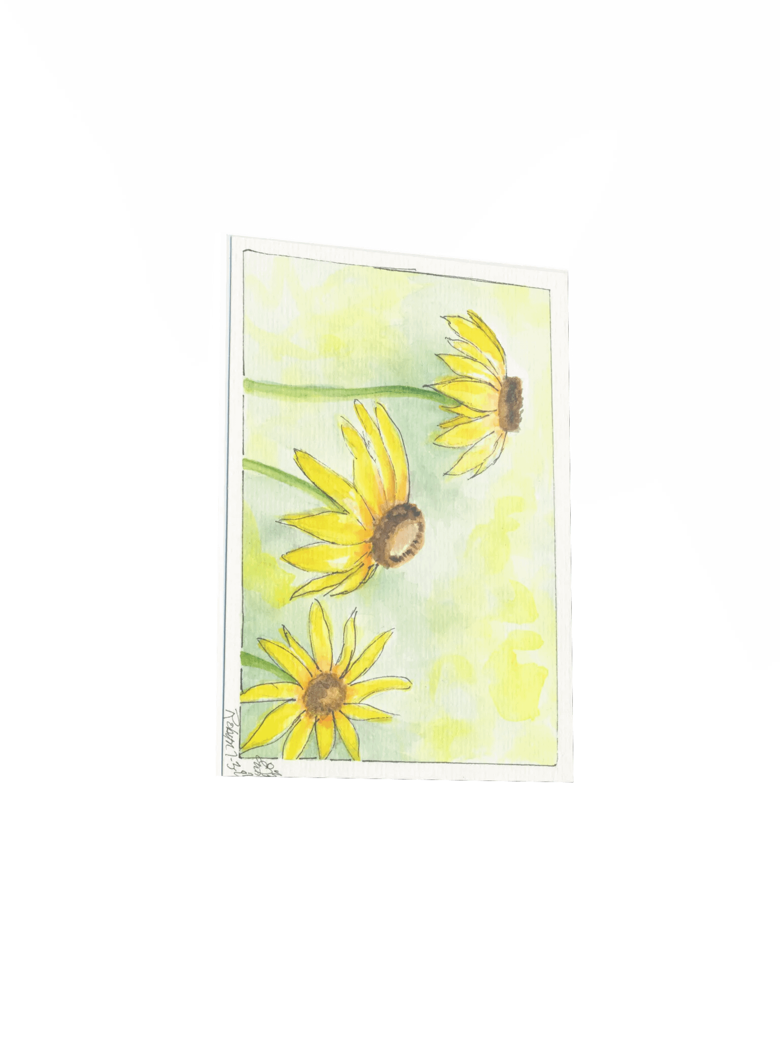 Yellow Cornflowers Print product image (3)