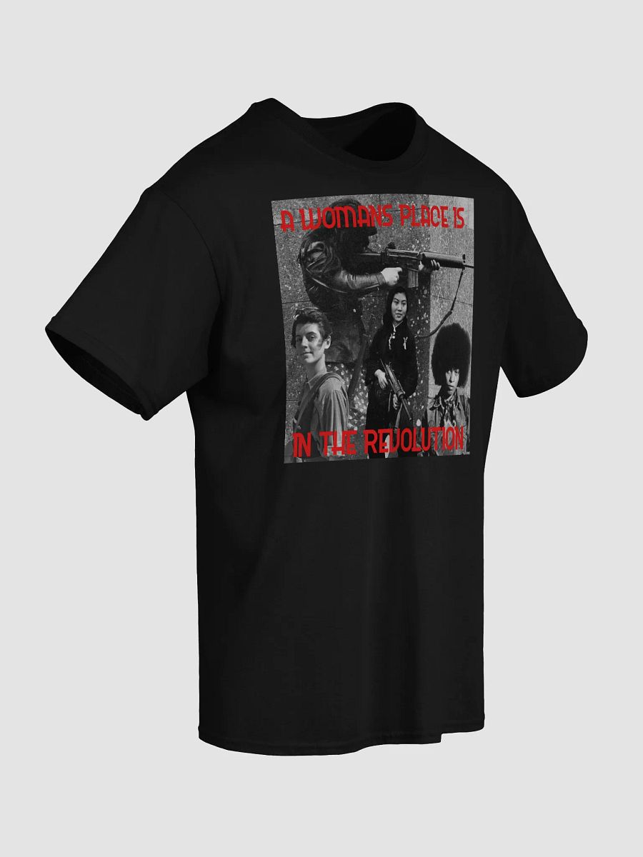 A WOMANS PLACE T-Shirt product image (2)