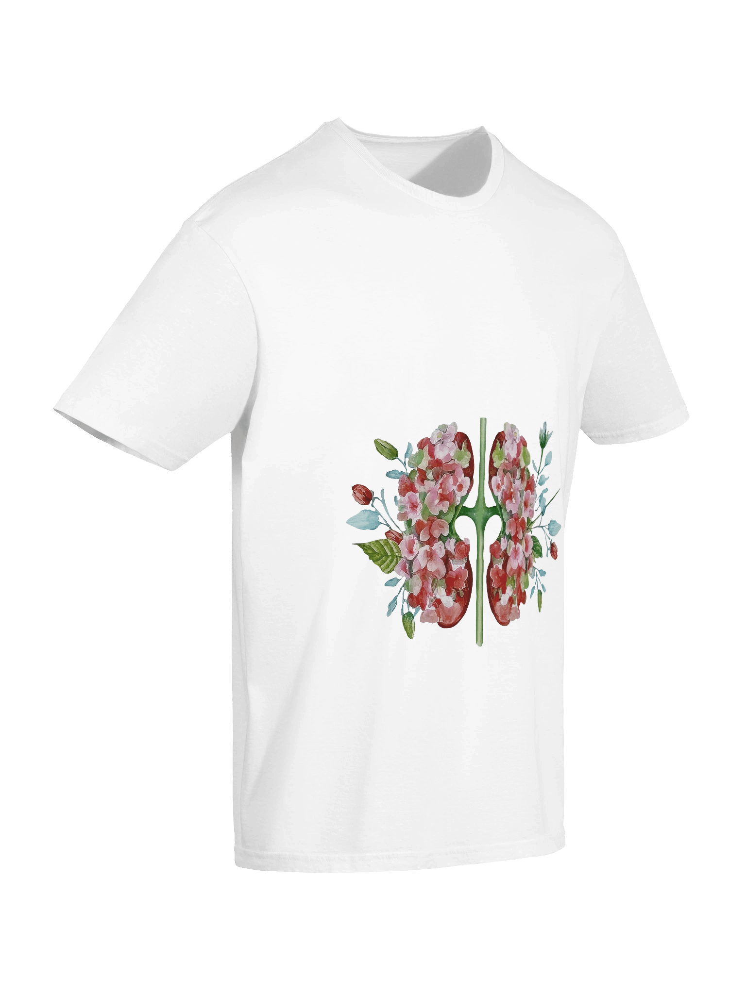 Botanical Anatomy Kidney Illustration product image (7)