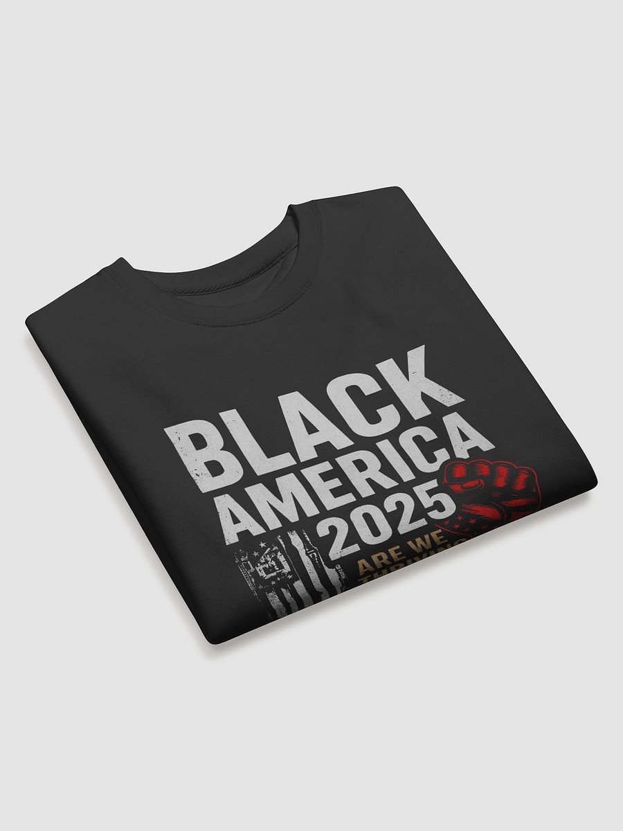 Black America 2025 Premium Sweatshirt product image (3)