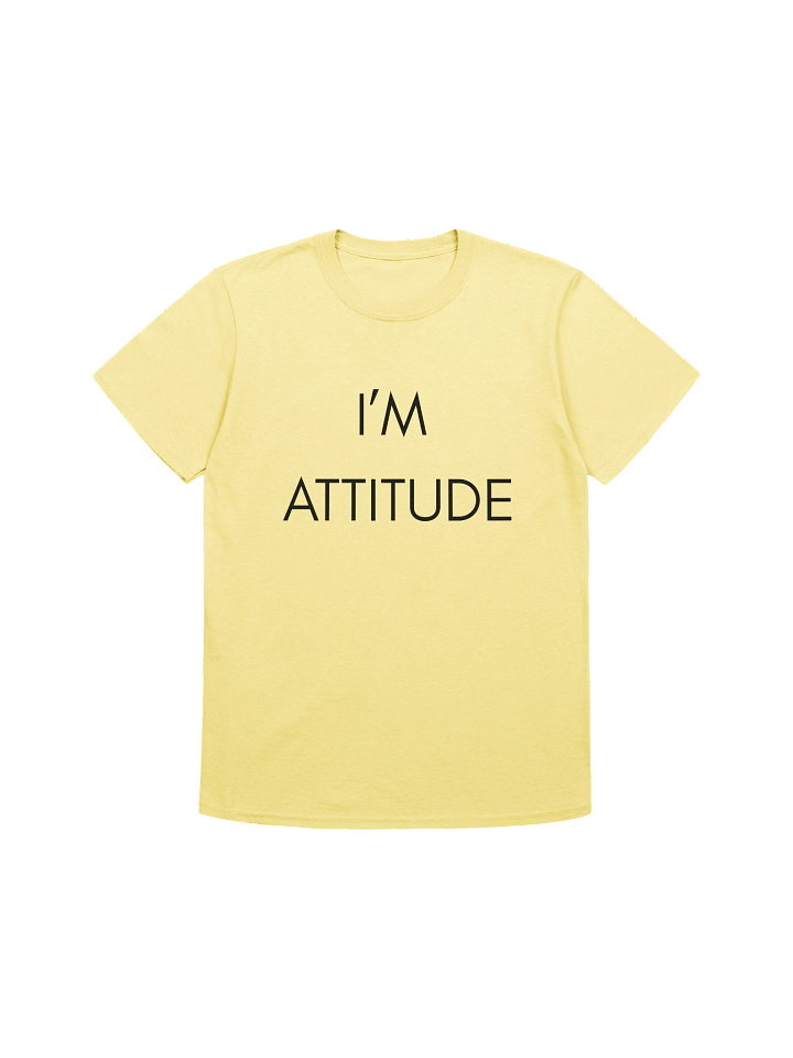 Attitude Tee product image (183)