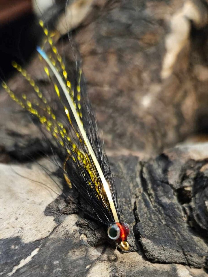 Leech product image (1)