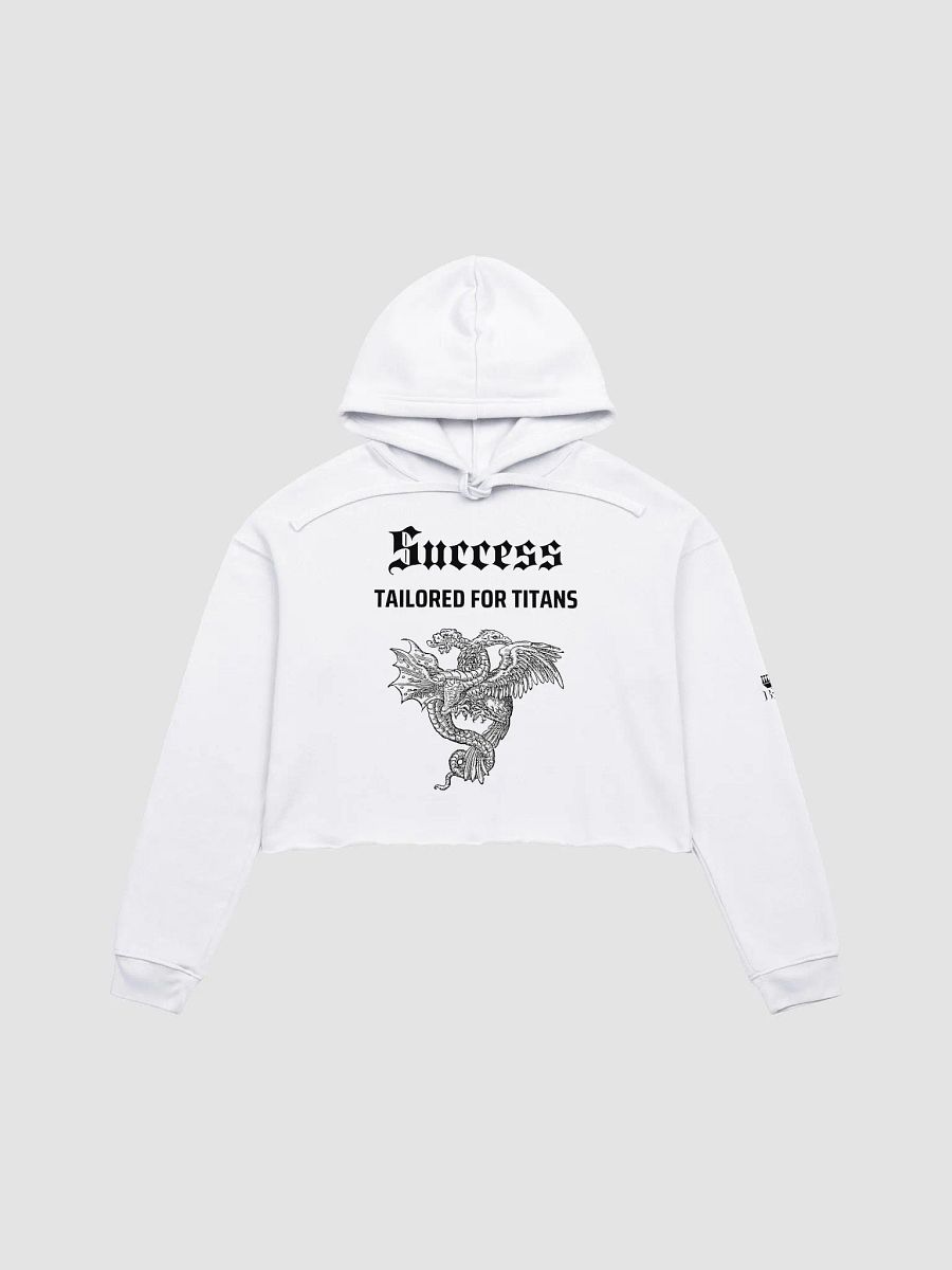 Success Tailored for Titans Cropped Hoodie product image (1)