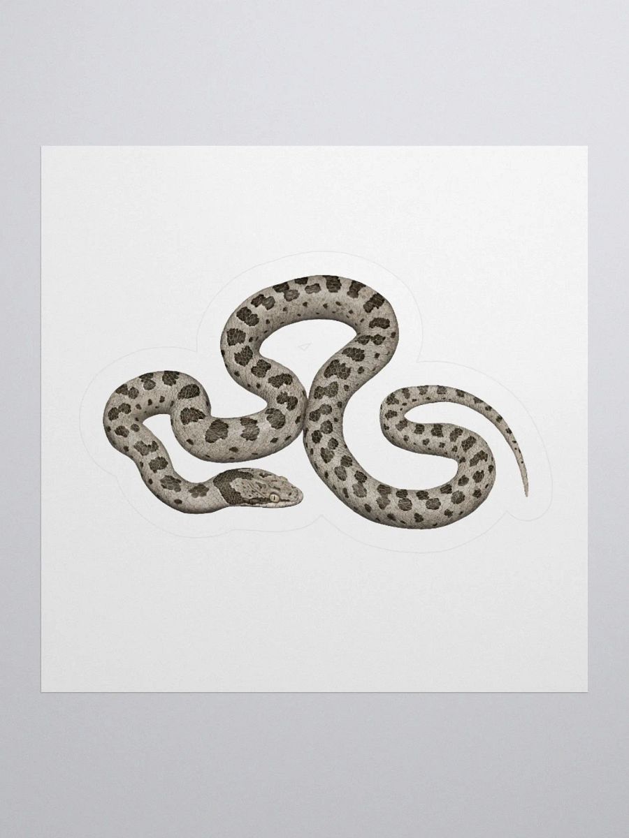 Die-Cut Sticker – Desert Nightsnake product image (1)