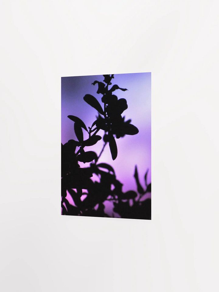 Purple Plant Glow product image (24)