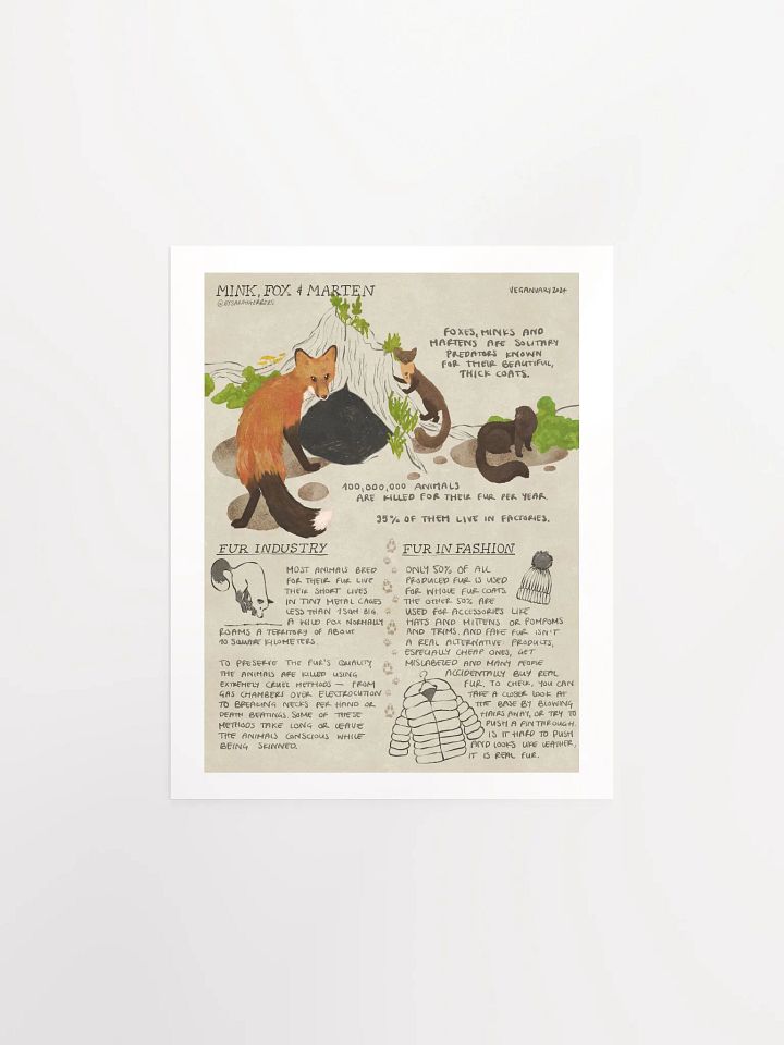 Mink, Fox & Marten Educational Print – Veganuary 2024 product image (2)