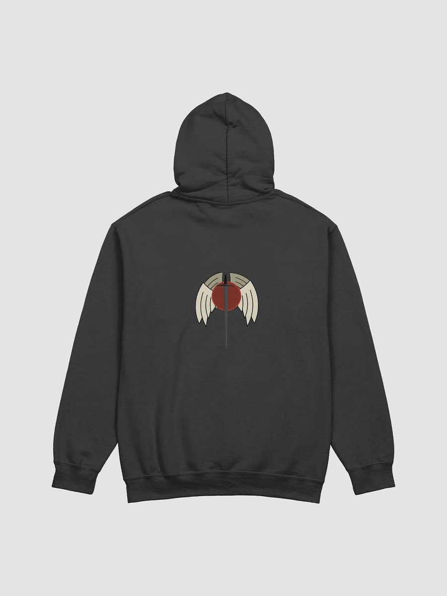 Paladin Class hoodie product image (2)
