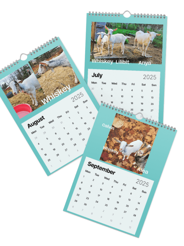 BrowncoatGoat Barn's Goats of 2025 product image (3)
