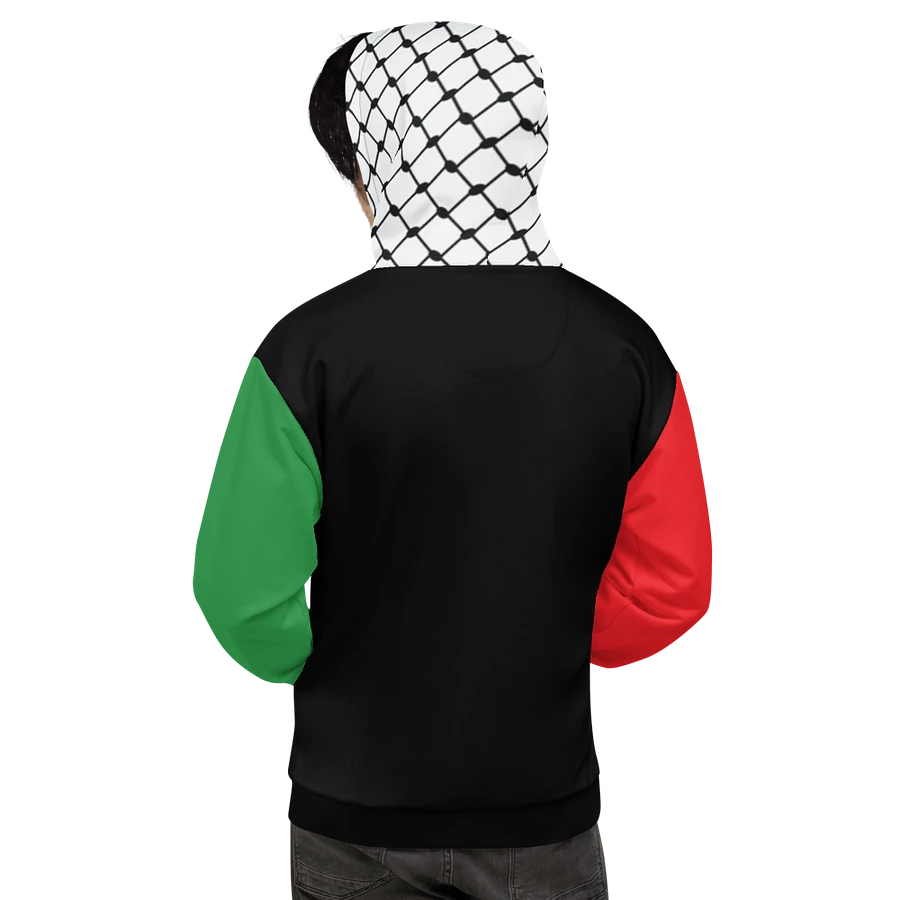 Color Block Unisex Hoodie product image (14)