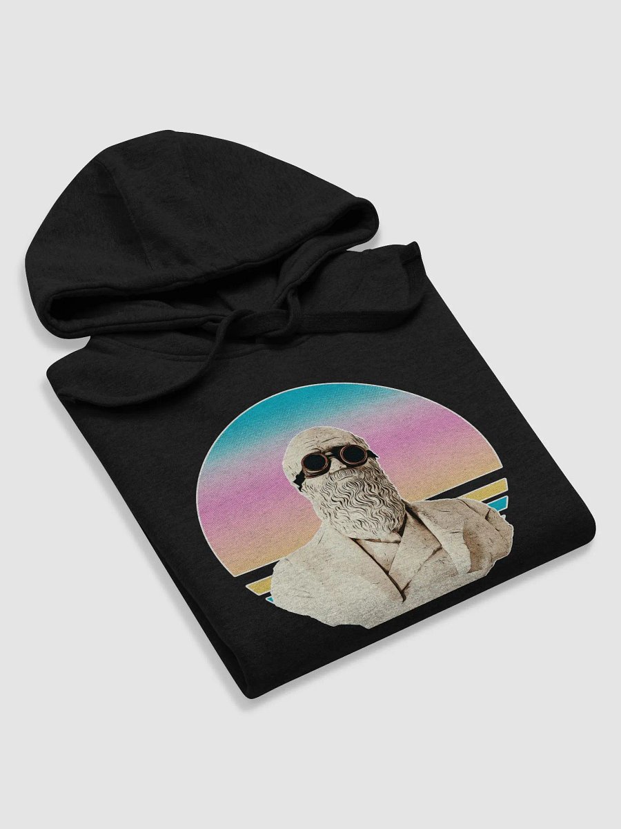 Darwinism Hoodie product image (5)