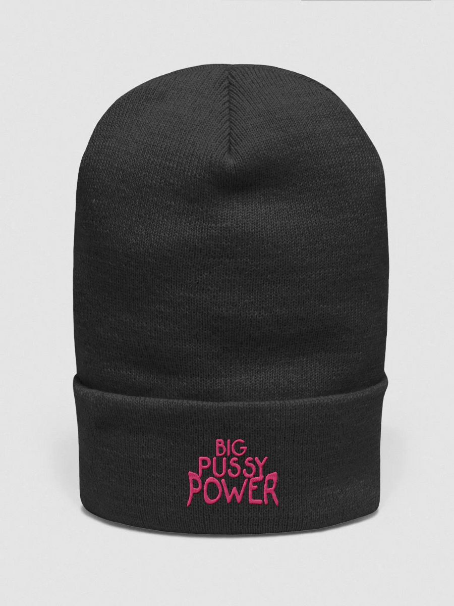 BPP Beanie product image (1)