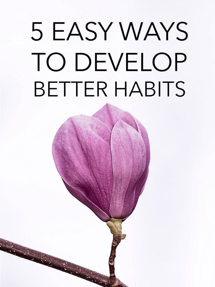 5 Easy Ways To Develop Better Habits product image (1)