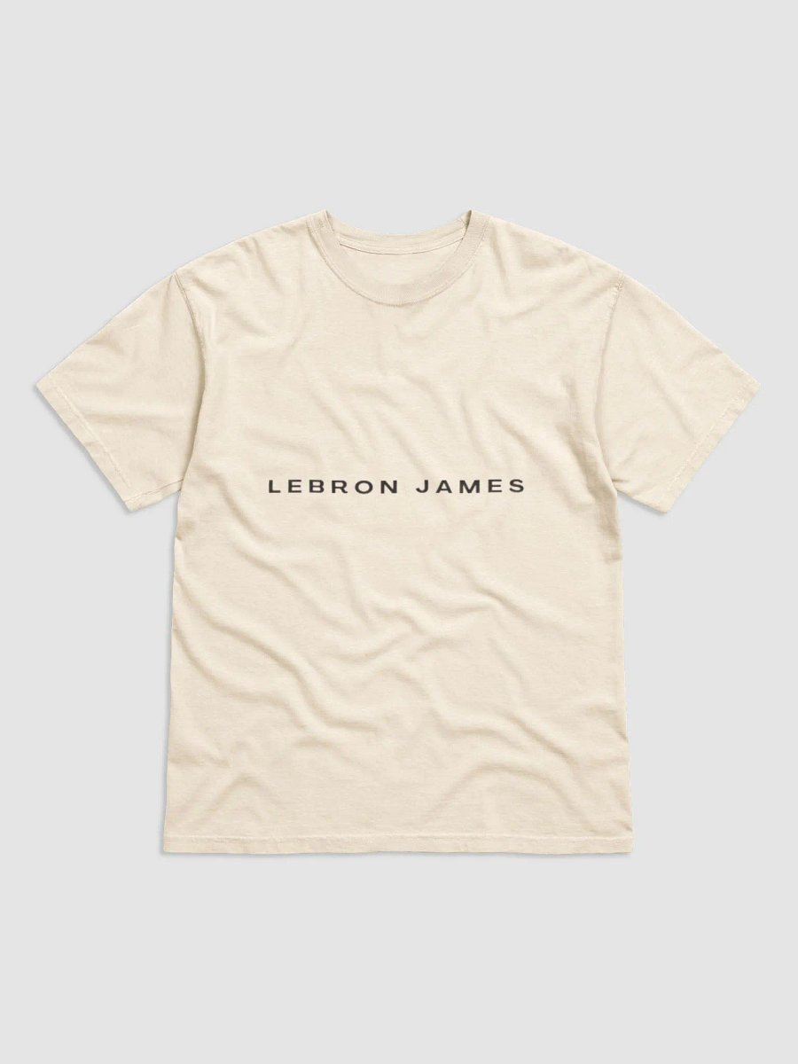 Lebron Shirt product image (12)