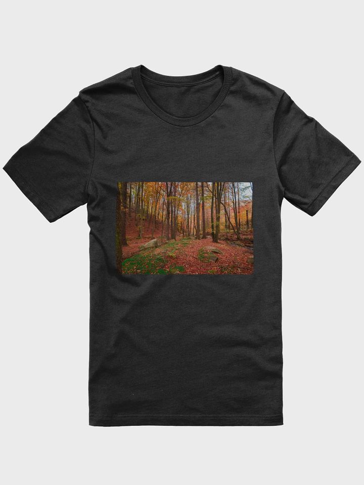 Forest Fall product image (1)